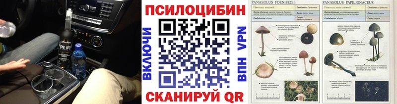 Галлюциногенные грибы Psilocybine cubensis  Купить  Луховицы 